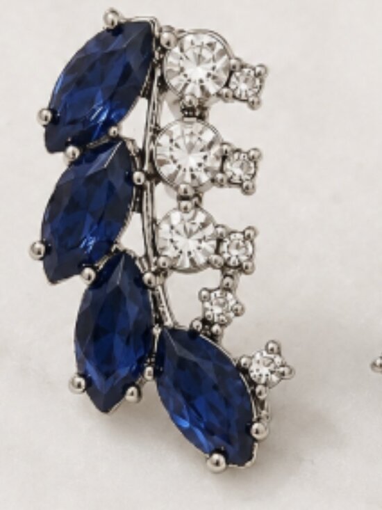 Jewelry - Blue & White Rhinestone Statement Earrings